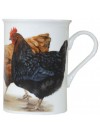 Farmyard Animals